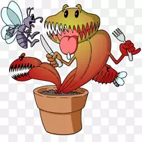 金星捕蝇器加利福尼亚水罐植物肉食植物种子-金星飞捕器
