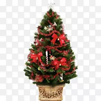 圣诞树，圣诞树装饰，新年树，圣诞礼物，圣诞树