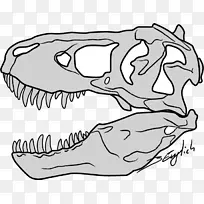 暴龙头骨恐龙素描-头骨