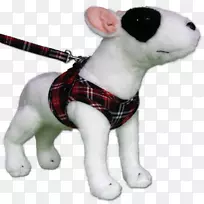 哈奈斯吉娃娃狗马具狗项圈-苏格兰男子