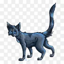 科拉特德文雷克斯胡须猫曼克斯猫小猫