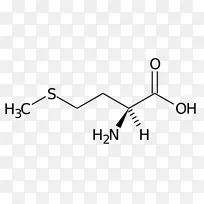 蛋氨酸必需氨基酸苏氨酸异亮氨酸