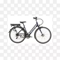 雷利电动自行车公司电阵列-自行车