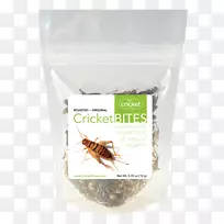 蟋蟀粉波特兰风味食物食蟋蟀昆虫