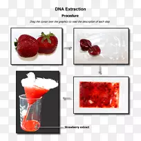 草莓DNA提取实验室生物学-草莓