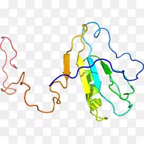 线点生物剪贴画线