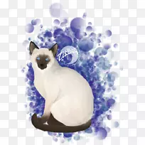 胡须小猫爪桌面壁纸-小猫