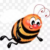 西方蜜蜂昆虫瓢虫甲虫剪贴画-蜜蜂