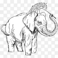 印度象非洲象线画-人与动物