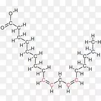 亚油酸反式脂肪硬脂酸加氢-碳酸