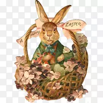 复活节兔子篮子复活节明信片