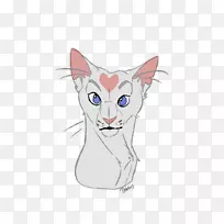 小胡子猫家猫
