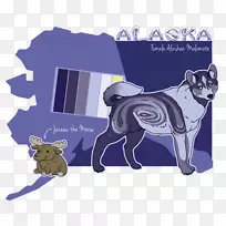 犬种帕格爪猫-阿拉斯加犬