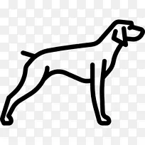 指针沙培西伯利亚哈士奇阿拉斯加马拉默特公牛猎犬