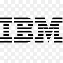 IBM BladeCenter电源转换器刀片服务器计算机软件-ibm