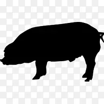 杜洛克猪英国本土猪汉普郡猪剪影剪贴画剪影