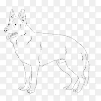 犬种红狐线艺术胡须-狗