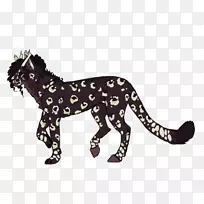 豹大猫陆生动物美洲狮豹
