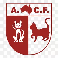 澳大利亚猫联合会阿科特路爪子剪贴画-猫