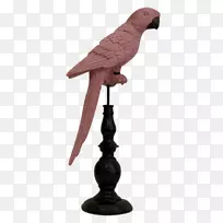 雕塑鸟喙-粉红鹦鹉