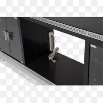 普通鬣蜥电子学黑刺尾鬣蜥设计