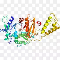 生物Uniprot病毒图形设计剪贴画逆转录酶