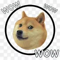 Shiba Inu Dogecoin Doge运行魔兽世界-魔兽世界