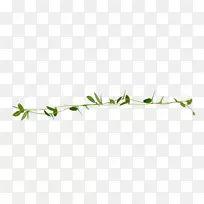 细枝草植物茎叶线艺术花环设计