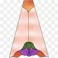 三角形卡通-染色