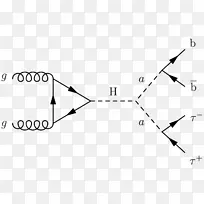 Feynman图-γ-谷氨酰基水解酶(共轭酶，叶酸一夫镁酰水解酶)三角传播子-希格斯玻色子