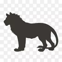 狮子猫科豹子大猫-狮子