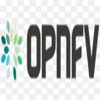 NFV标志品牌的网络功能虚拟化开放平台