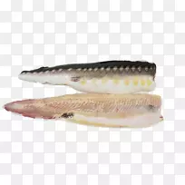 白鲟、短鼻鲟鱼、阿卡迪亚鲟鱼和鱼子酱公司鱼子酱