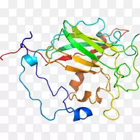 线点生物剪贴画线