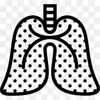 肺医学呼吸解剖呼吸