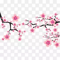 樱花剪贴画-樱花