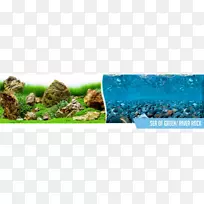 海贼之海塑料水族馆生态系统聚氯乙烯-海岩