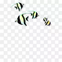 行字体-Russ