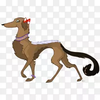 意大利灰猎犬西班牙灰狗斯劳吉鞭子-惊讶