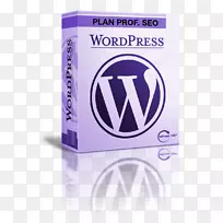 WordPress：绝对初学者的基本基础网站托管服务网页设计.WordPress