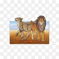 狮子狗，大猫，野生动物-燃烧的狮子壁纸