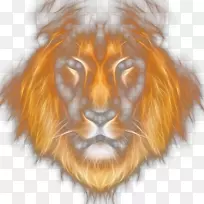 狮子狮子座-狮子