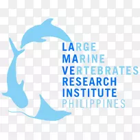 珊瑚三角海洋脊椎动物菲律宾鲨鱼