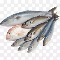 咸水鱼夹艺术-鱼