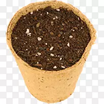 土壤花盆超级食品-马约拉姆