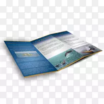 品牌微软蓝色宣传册-宣传册模型