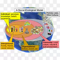 社会生态社会生态学社会生态系统生态复原力生态健康