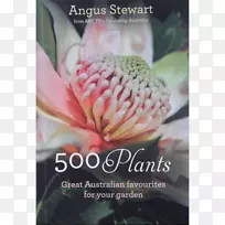 500种植物澳大利亚本土花园：实用指南RHS好的植物指南创建澳大利亚花园-澳大利亚