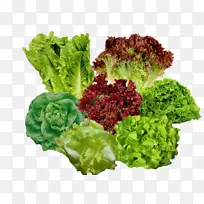 生菜蔬菜沙拉食品蔬菜