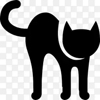 黑猫胡须家用短毛猫毛刺猫电脑图标-小猫